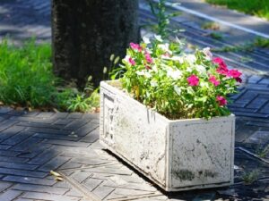 プランター
