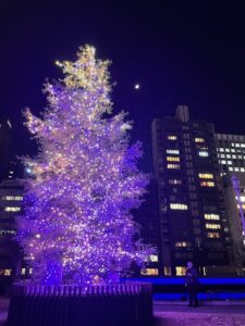 クリスマスツリー